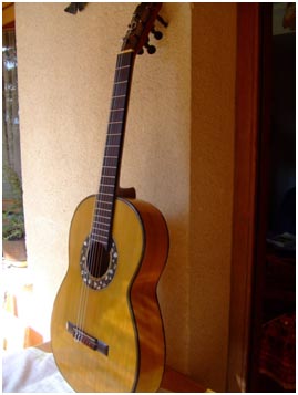 guitarra